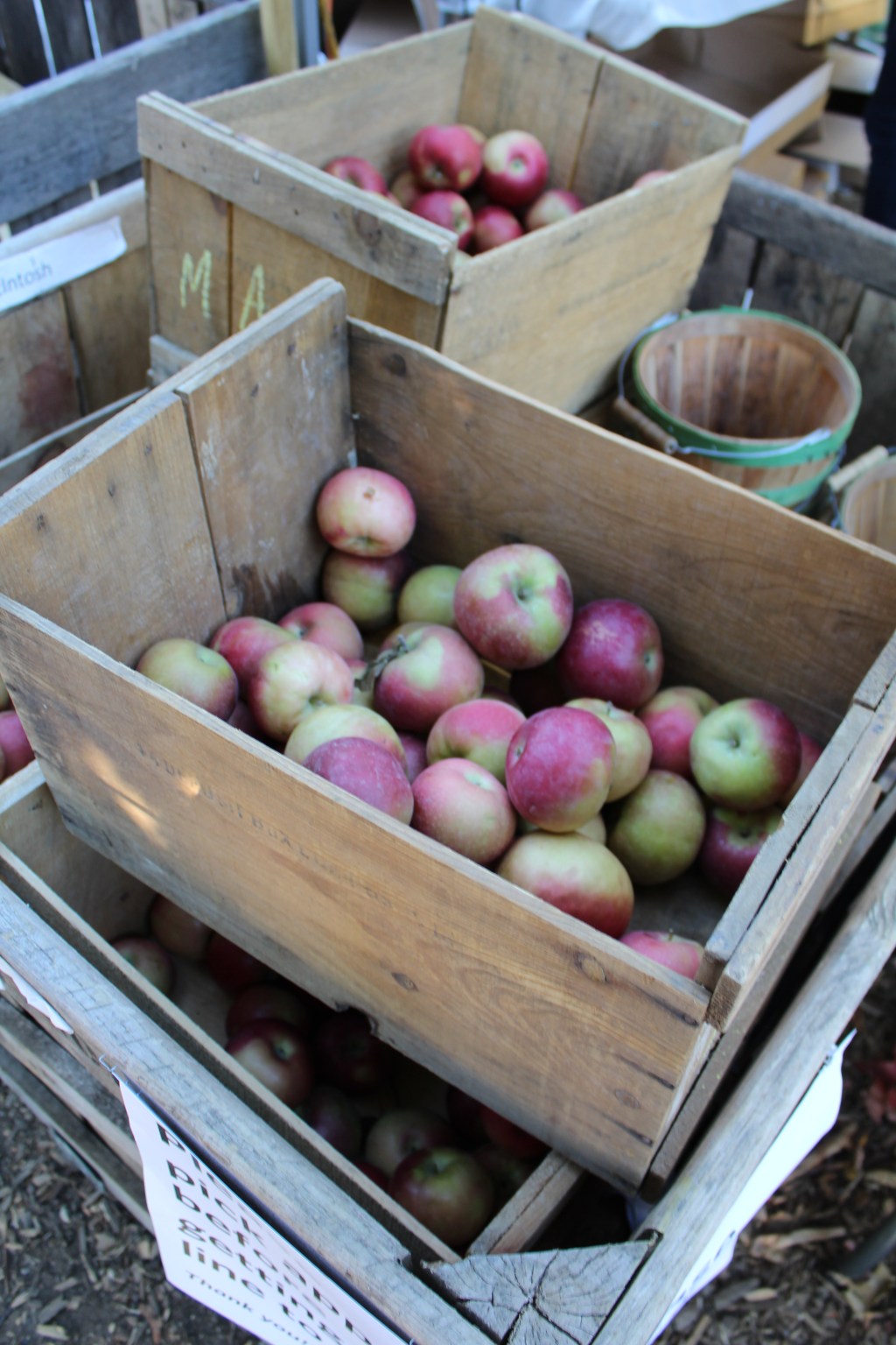 Sunday Snapshot: Fresh&nbsp;Apples