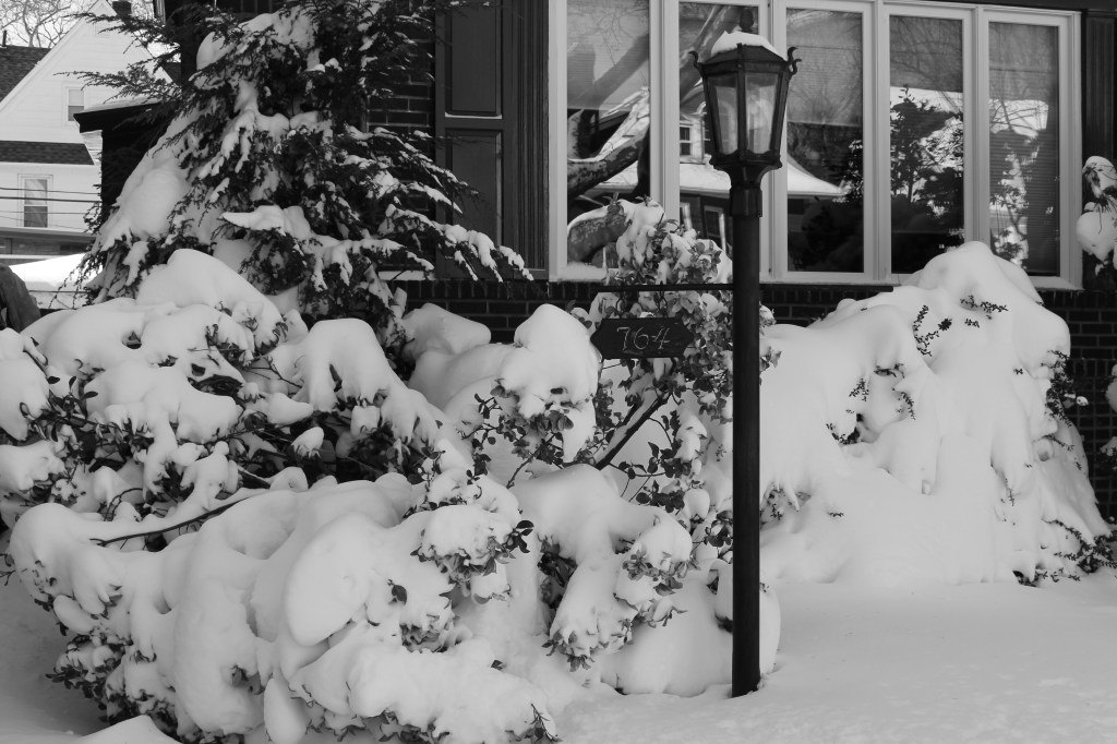 Slow Down, It’s&nbsp;Snowing…