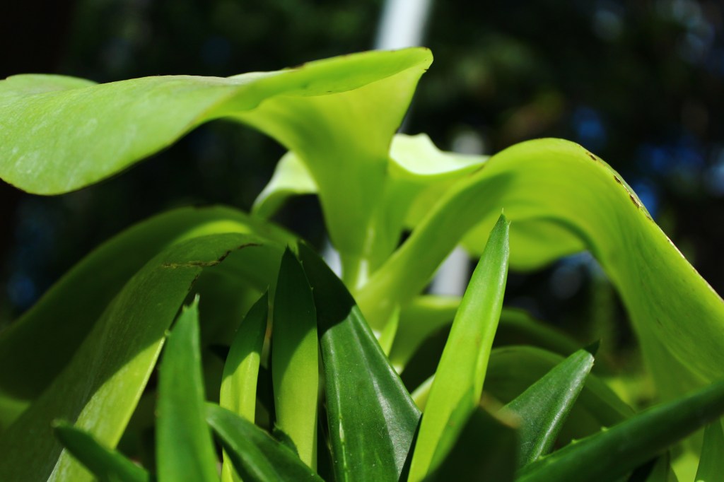 The Conditions Weren’t&nbsp;Right