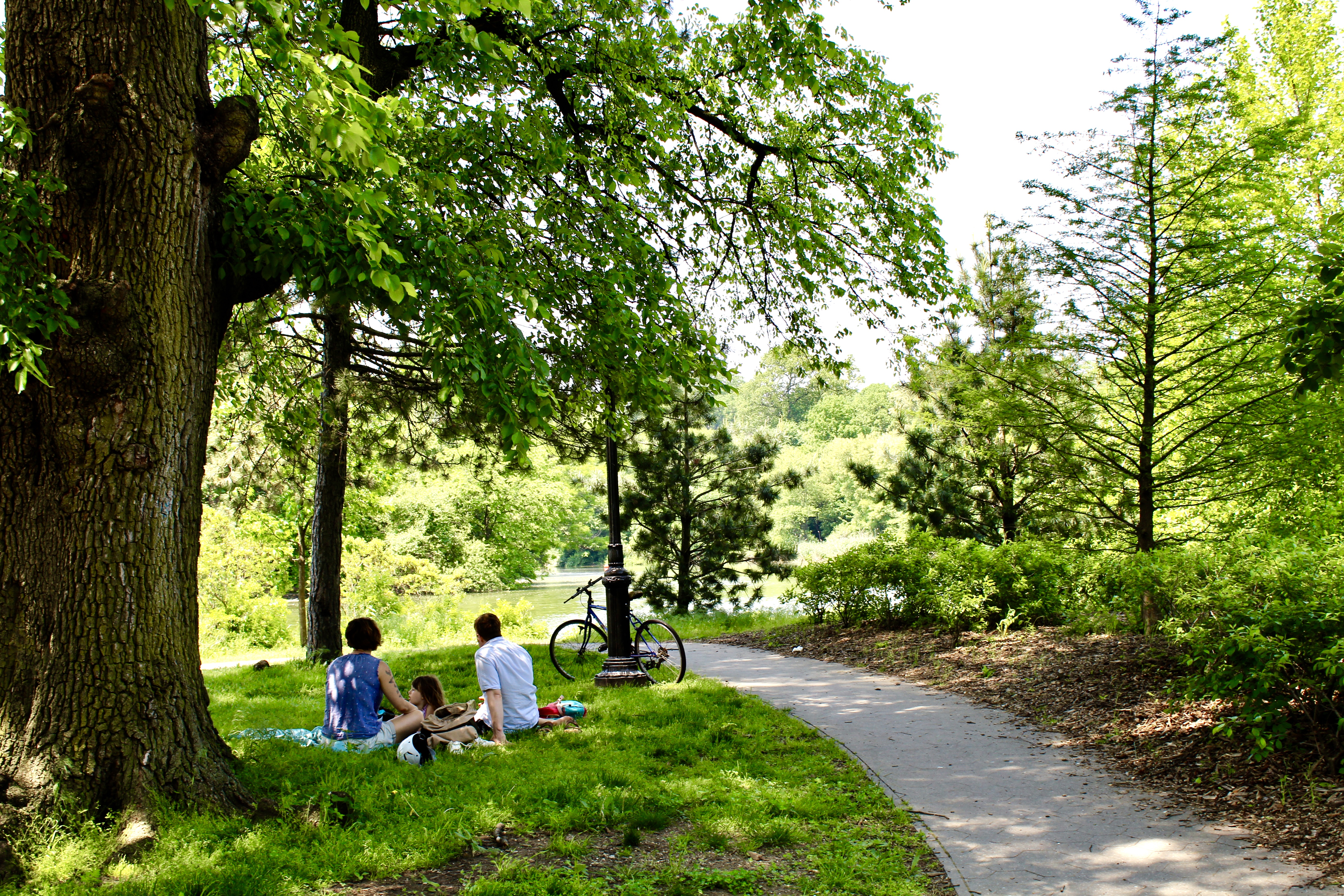 Observation - Apples and Adventures Blog