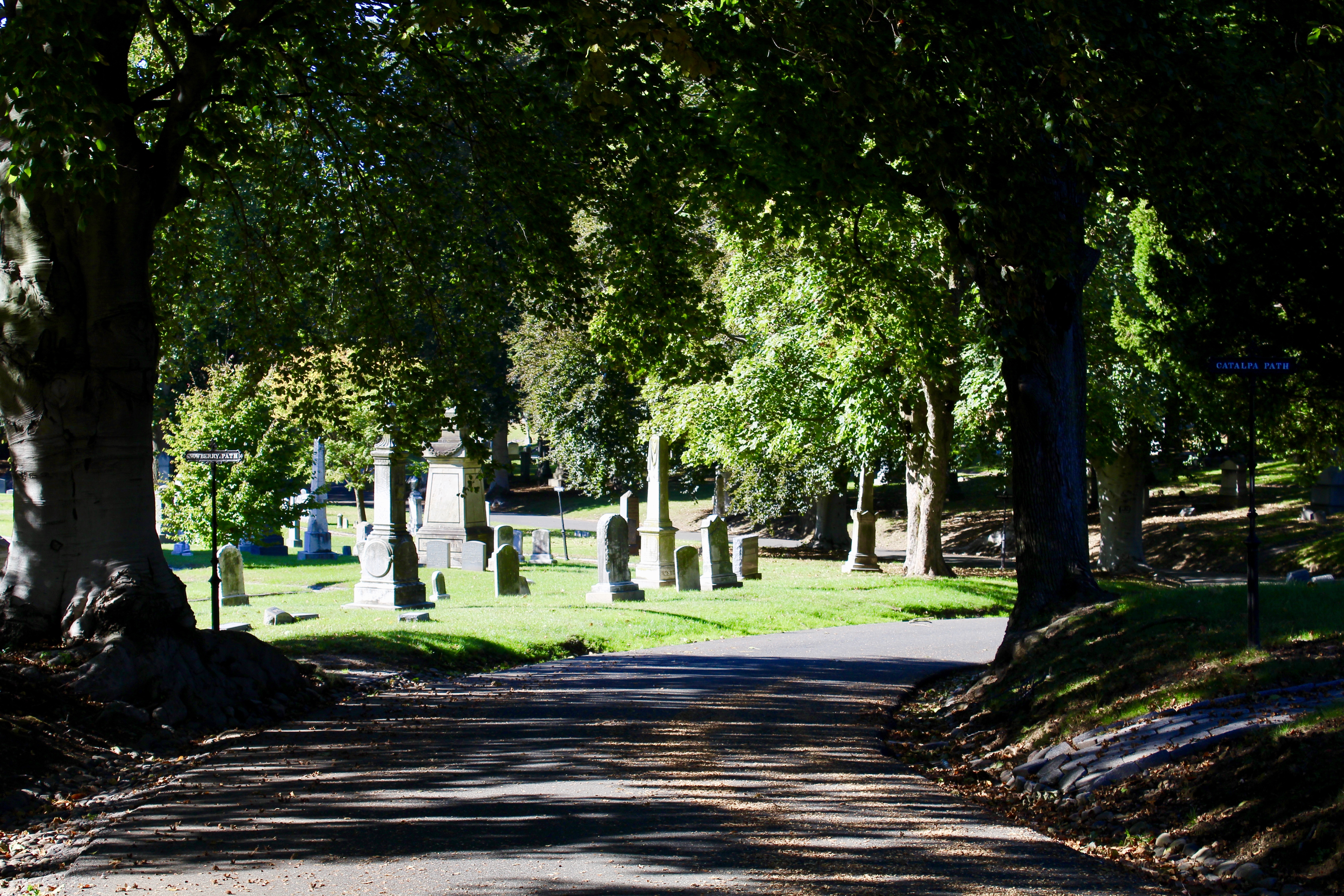 transient - apples and adventures blog