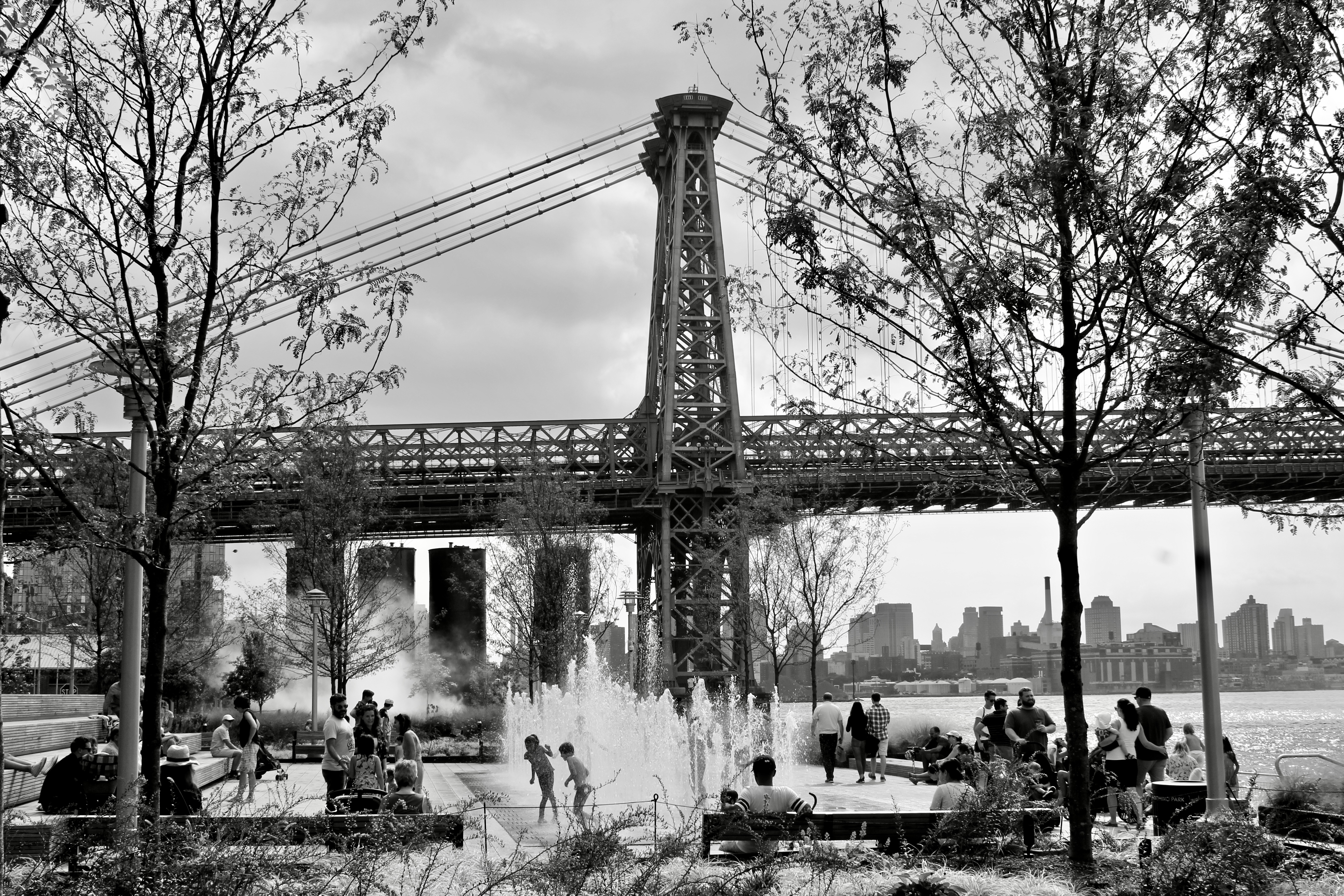 Williamsburg Bridge Domino Park