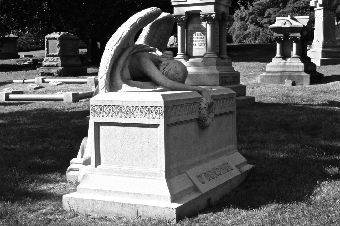 3xwW002MS8CAY7dNWexCgg_thumb_9ae