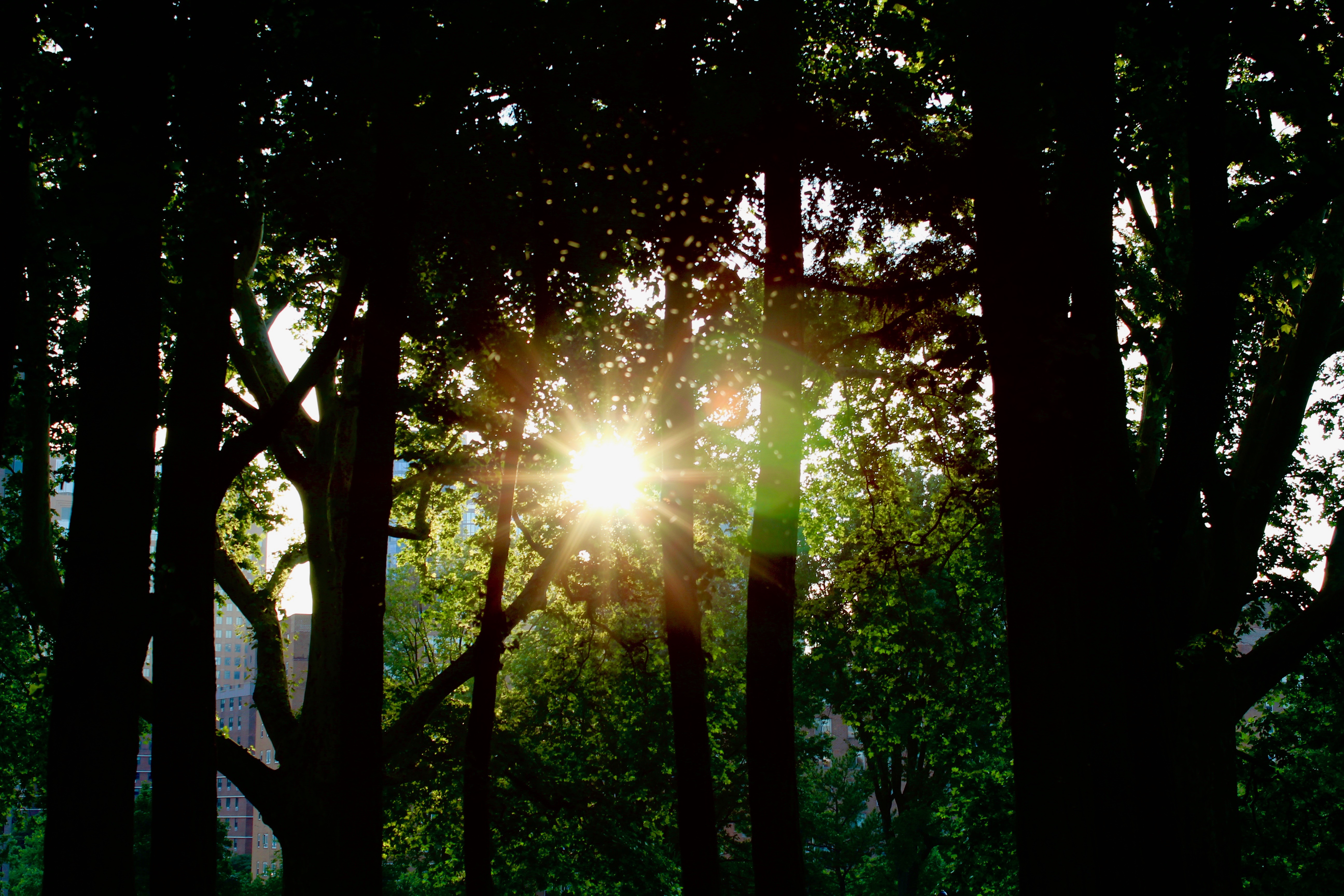 I see the light but - dycephotography