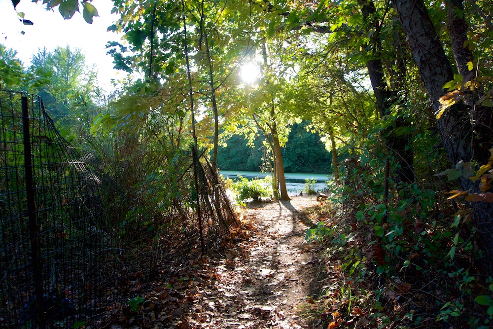 How Do You Find Your Life&nbsp;Path?