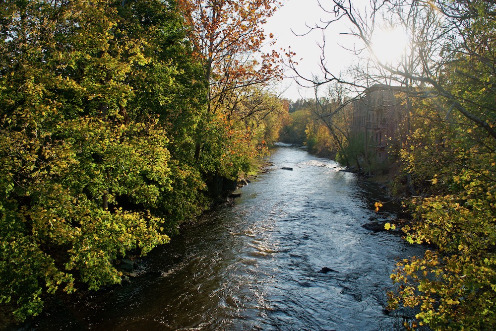 Vibrate Higher in&nbsp;Nature