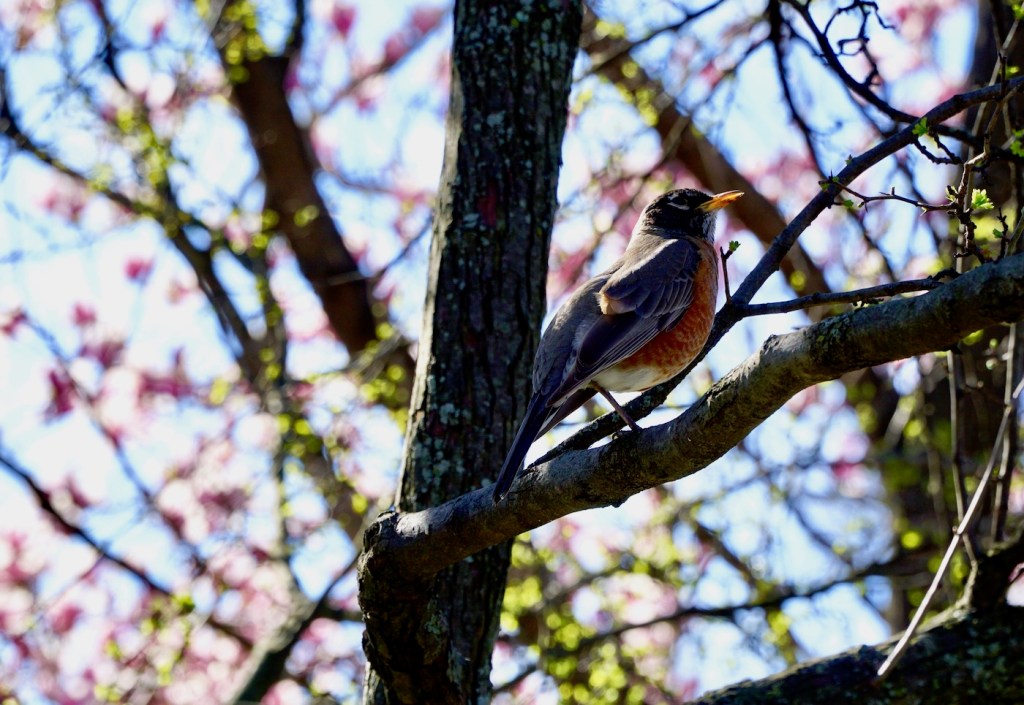 Be Healthy and Feed the Energy of the&nbsp;Divine