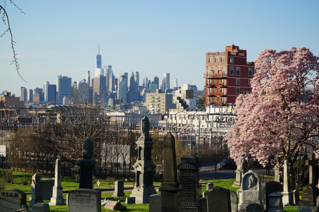 There’s Beauty in Life and&nbsp;Death