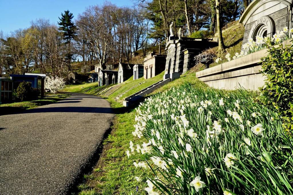 Sometimes I Float In&nbsp;Between