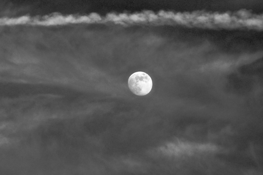 How to be Present in Nature Part IV:&nbsp;Skygazing