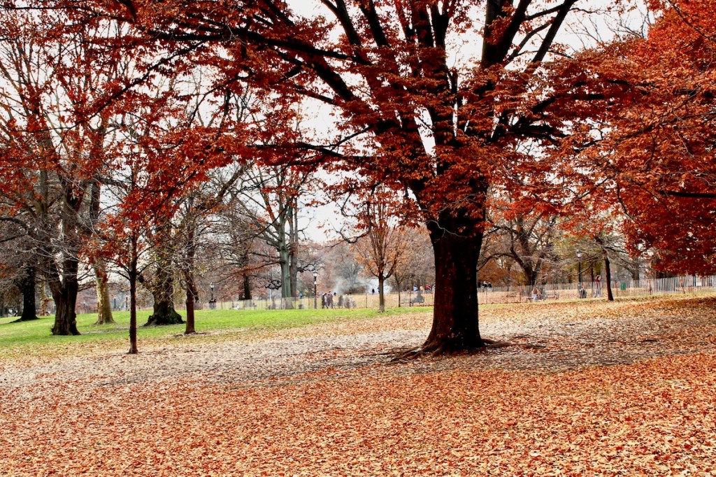 Welcoming Fall and the Harvest with a Mabon&nbsp;Celebration
