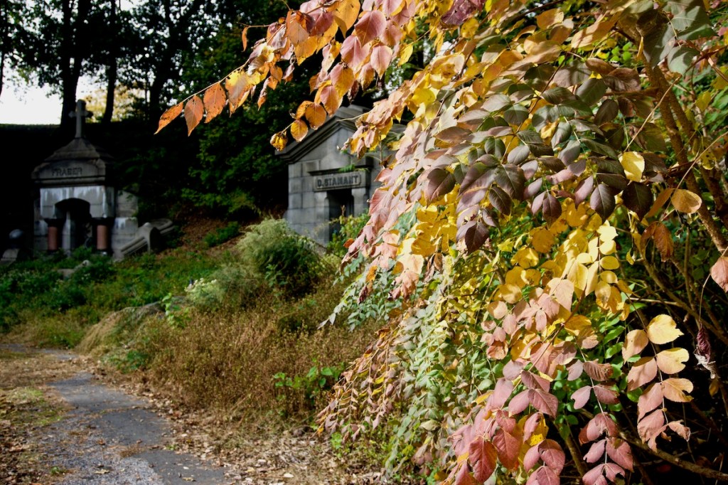 In October, We Celebrate Life and&nbsp;Death