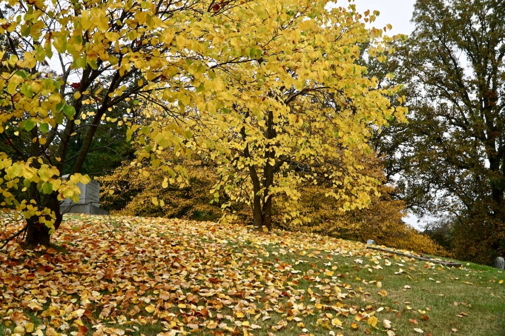 Checking the Ego During Scorpio&nbsp;Season