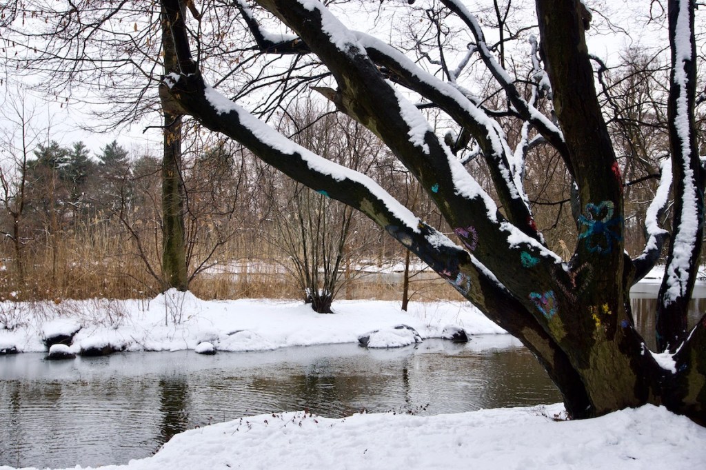 Fight the Power with Your High&nbsp;Vibration