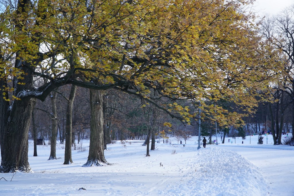 Let’s Be Real: How “Motivated” Are You Feeling Right&nbsp;Now?