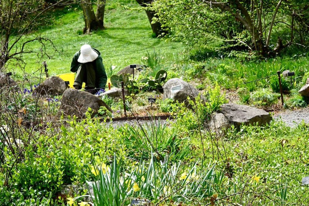 Are You Grateful for the Abundance that Earth&nbsp;Provides?