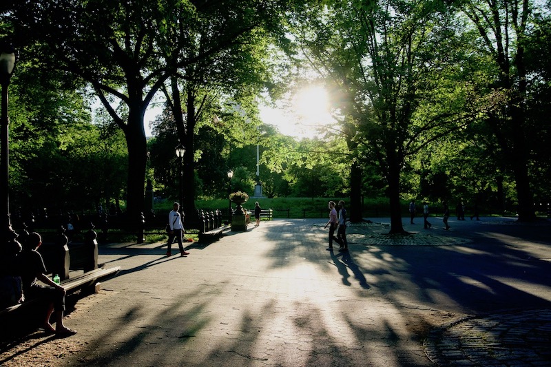 An Observation of the Skies: I Miss the&nbsp;Sun!