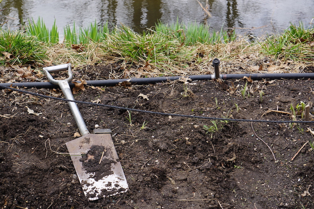 3 Herbs Ruled by Mars for Health&nbsp;Benefits