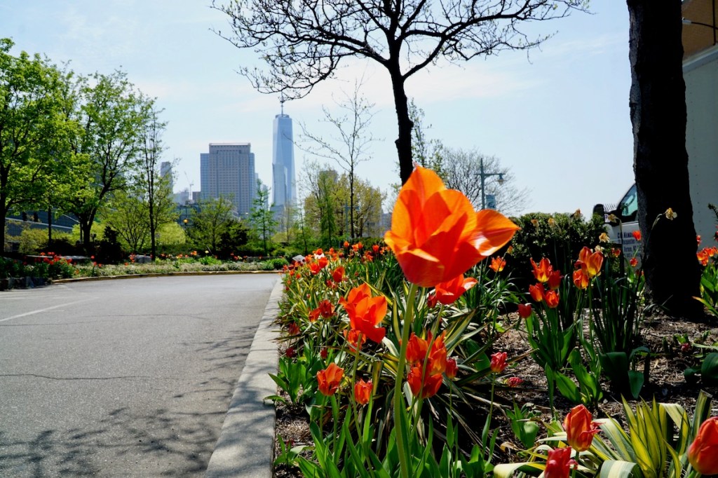 Stop to Smell the Flowers This Taurus&nbsp;Season