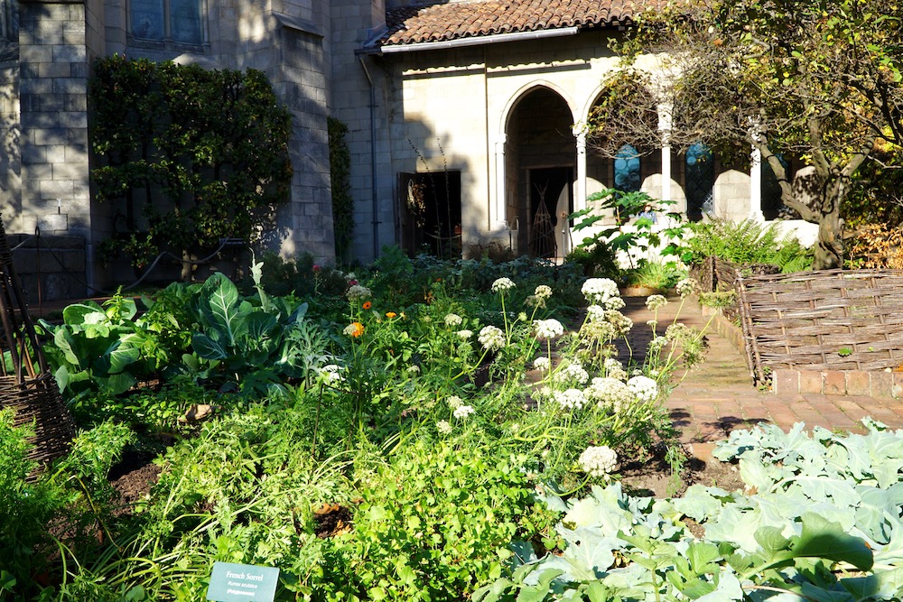 Taurus, Venus and the Food&nbsp;Connection