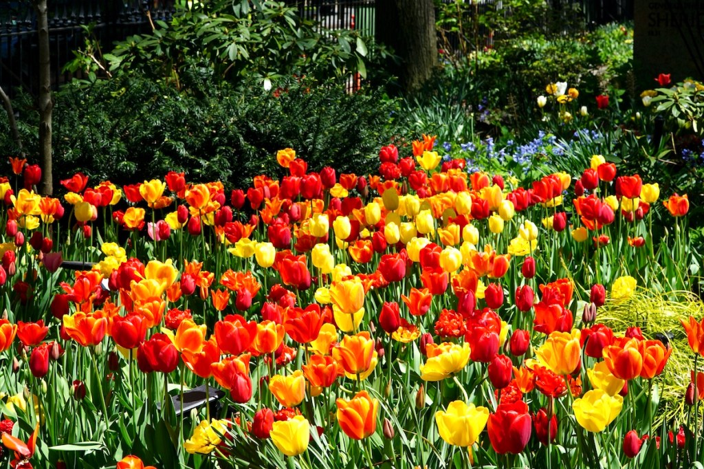 Happy Earth Day&nbsp;2024