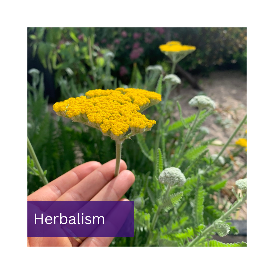 Herbalism