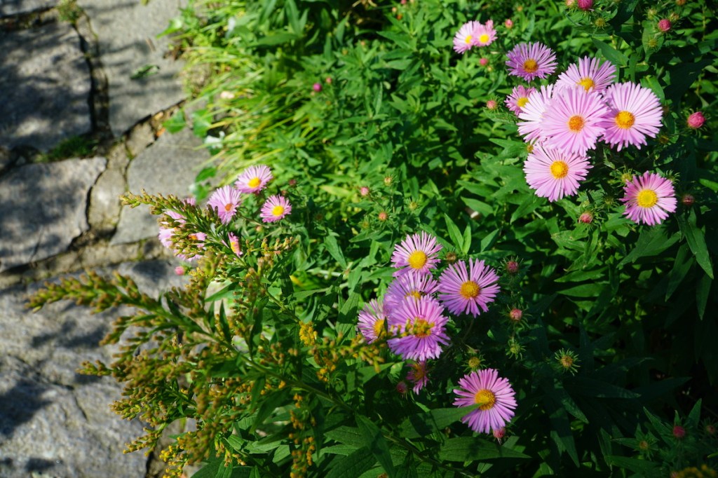 End of Summer&nbsp;Beauty