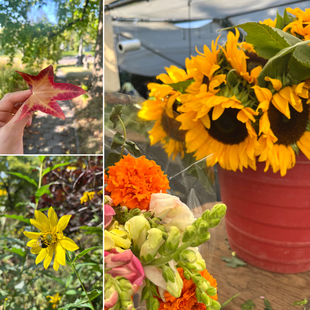 Autumn in New York: sunflower bouquet, marigolds, fall foliage