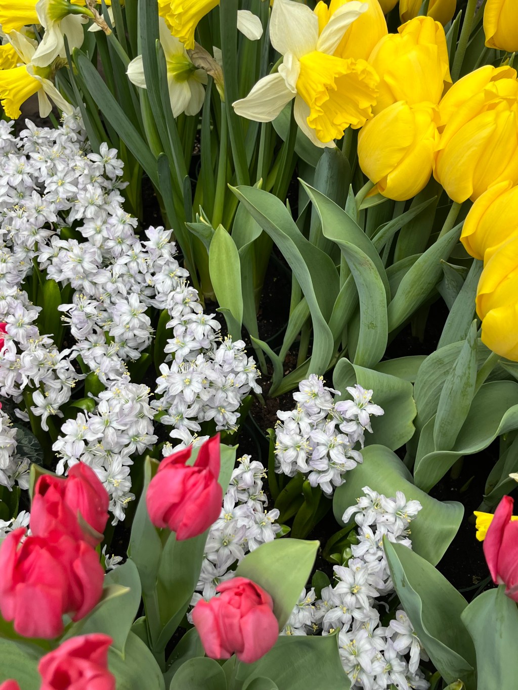 Let’s Welcome the Season of&nbsp;Life